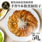 手作り本格黒豚餃子 50個