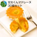 甘太くんマドレーヌ 30個セット