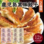 ふるさと納税 南九州市 鹿児島黒豚餃子2種類12P(計144個)