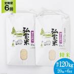 お米 定期便 6回 コシヒカリ 弘宝米 精米 10kg×2袋