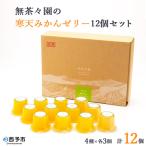 みかん 柑橘類 シトラス飲むゼリー12個セット
