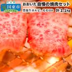 ふるさと納税 国東市 おおいた自慢の焼肉セット計1.1kg/豊後牛カルビ,モモほか_1159R