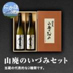 日本酒セット 飛良泉 山廃のいづみ 純米酒