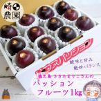 徳之島の“さきたまりこさん”の愛情 パッションフルーツ 約1…