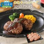 豊後牛ハンバーグ プレーン 1kg_1201R