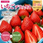 ■小林農園■いちごデラックス 25M.