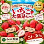 ■小林農園■味自慢 いちご大満足セット