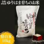 ゆりはま育ちのお米◇精白米10kg◇令和8年産