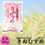 ふるさと納税 湯梨浜町 特別栽培米『原の米・きぬむすめ』◇玄米20kg◇令和7年産(106K.)