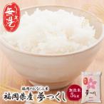 ショッピングふるさと納税 無洗米 ふるさと納税 福智町 令和7年産 無洗米 夢つくし5kg