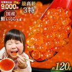 ふるさと納税 気仙沼市 【TVで紹介!】最高級3特 国産 味付 いくら 宝壽 醤油漬 120g×1 20565080 ◎
