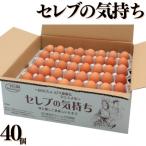 セレブの気持ち40個 115M.