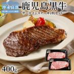 産黒毛和牛A5等級サーロインステーキ2枚セット 400グラム