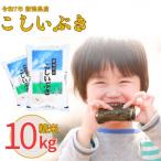 ふるさと納税 三条市 新米 新潟県産 こしいぶき 10kg 令和7年産 米【011S037】