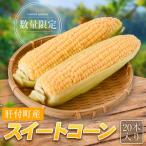 農家直送 朝採れ スイートコーン A68001