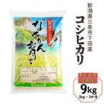 ふるさと納税 三条市 新米 先行受付 [定期便3kg×3ヶ月] コシヒカリ 令和7年産米 新潟県三条市 【013S007】