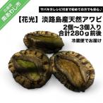 fu.... налог юг ... город [ цветок свет ] Awaji Island производство натуральный .. морское ушко 