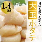\漁業者応援品 お刺身用ほたて貝柱1.4kg