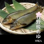 吉野桜あゆ 新鮮抜群 活〆鮎 10尾入