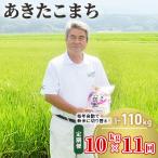 定期便 10kg×11ヶ月