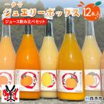 <一歩会 ジュエリーボックス ジュース飲み比べセット 72…