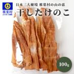 干したけのこ 100g×1袋