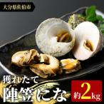 陣笠にな 約2kg