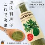 お肉料理はこれで決まり パパイヤスパイス