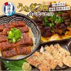 ふるさと納税 焼津市 うなぎ 3種 食べ比べ セット(長焼き+きざみ)(a12-205)