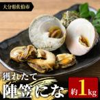 陣笠にな 約1kg