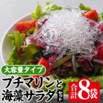 プチマリン 大 と海藻サラダセット 合計8袋