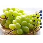 ふるさと納税 国東市 【先行受付】清原さんちのシャインマスカット 約1.5kg_1583R