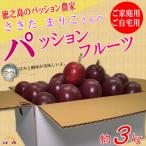 ご 徳之島の“さきたまりこさん”の愛情