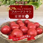 12月~6月毎月発送 プレミアムフルーツトマトの定期便