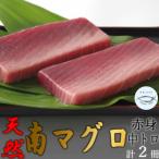 天然南マグロ 中トロ1冊 赤身1冊