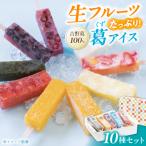 吉野葛アイスバー10本入り