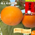 輝太郎柿 きたろうかき 3kg