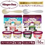 ふるさと納税 浜中町 【金と銀のスプーン同梱】ハーゲンダッツアイスクリーム バラエティセット_H0026-025