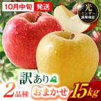 旬の美味しい りんご 約15kg