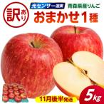 りんご 約5kg