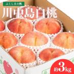 ふるさと納税 福島市 福島のもも 川中島白桃 約3kg【2025年発送】No.2153