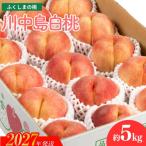 福島のもも 川中島白桃 約5kg_MF-2