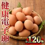 健康電子卵 計120個
