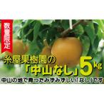 糸屋果樹園の中山なし 5kg