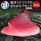 焼津ミナミマグロ中トロ付ブロック スキンレス