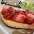 うずしおベリー カタラーナ 2箱セット 計8個