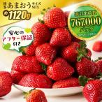 ふるさと納税 宗像市 アフター保証 「博多あまおう」約280g×4パック【JAほたるの里】_HA0433