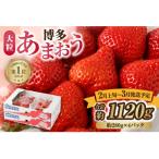 ふるさと納税 宗像市 大粒あまおう 280g×4P【2026年2月上旬〜3月中旬お届け】【JAほたるの里】 _HA0275