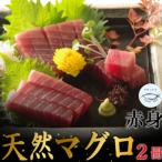 天然南マグロ 赤身 2柵