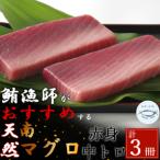 天然南マグロ 中トロ2柵 赤身1柵
